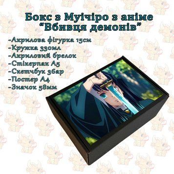 Бокс з Муічіро по аніме "Вбивця демонів" Б-ВД-10 фото